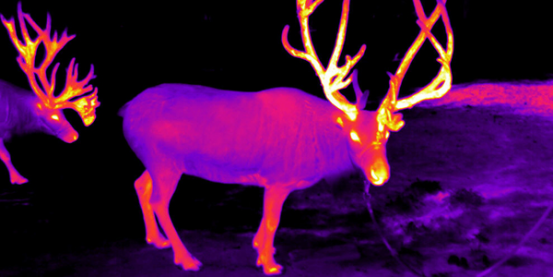 Night Vision Systems